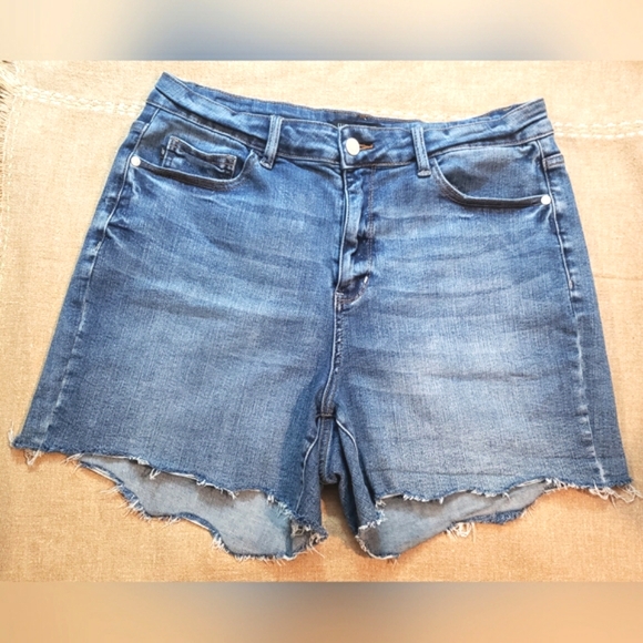 Judy Blue Pants - Women's Judy Blue Denim Shorts Size 1XL Blue